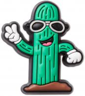 Cactus Dude