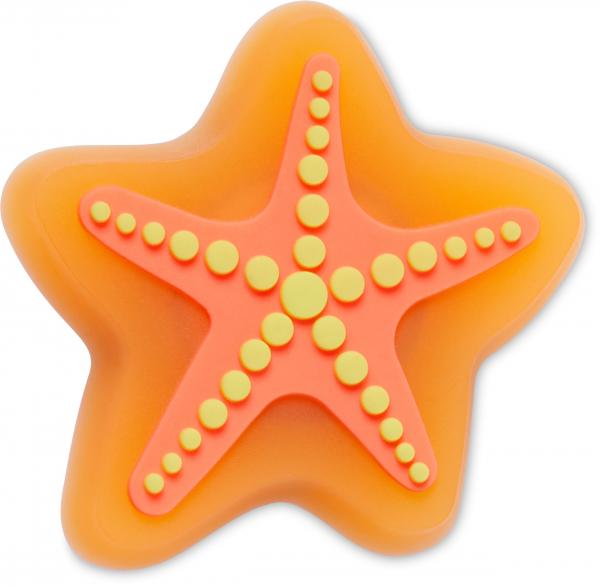 Lights Up Starfish