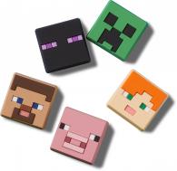 Minecraft 5 Pack