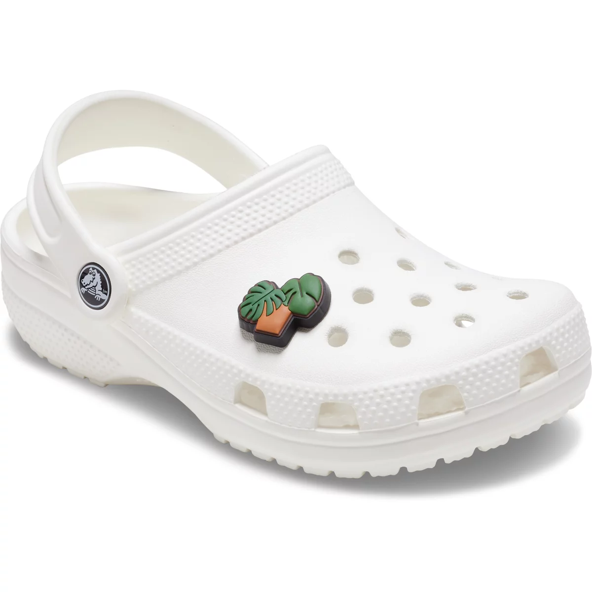 shoe img
