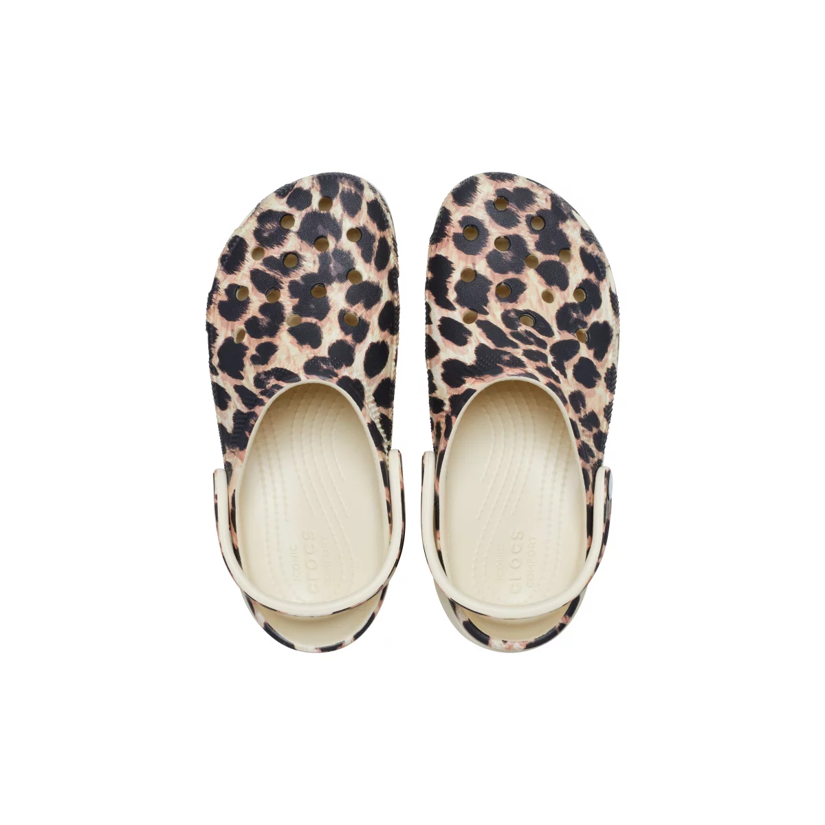 shoe img